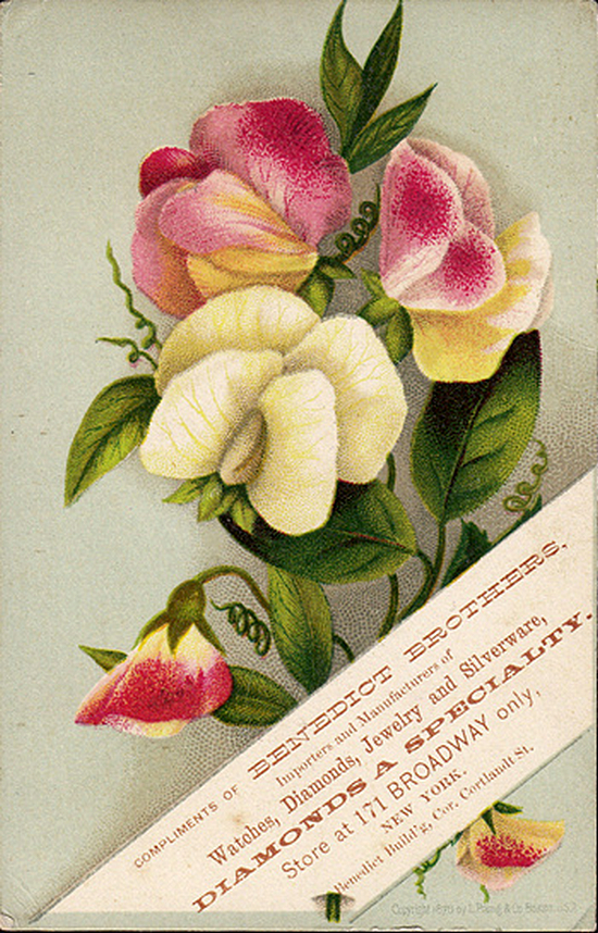 (1387 KB) (Click on Picture to View Full Size) picture