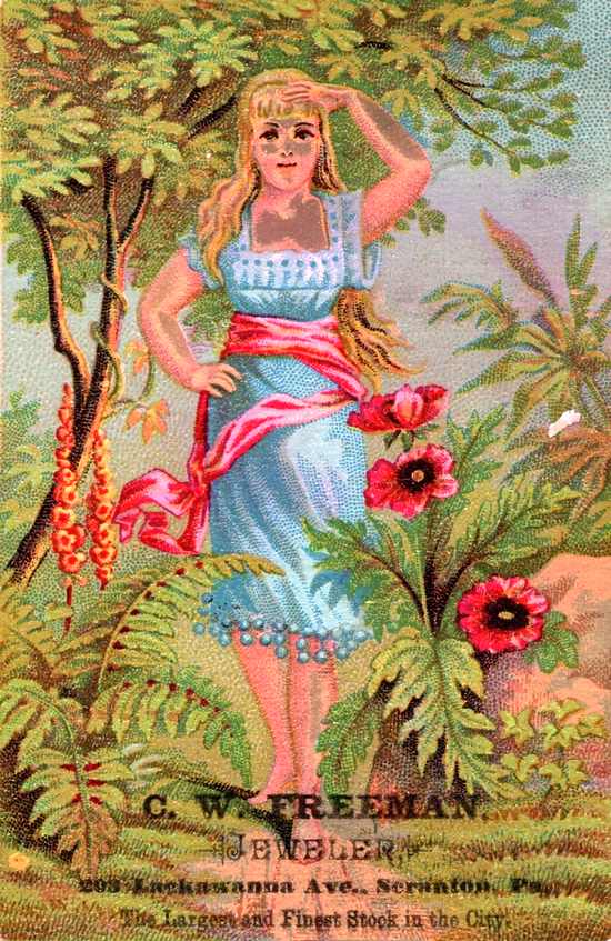 (1369 KB) (Click on Picture to View Full Size) picture