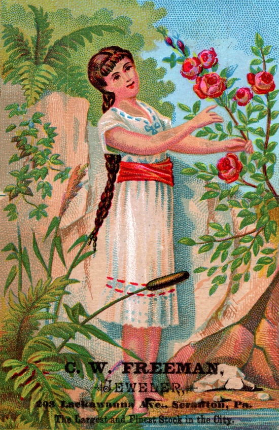 (1371 KB) (Click on Picture to View Full Size) picture