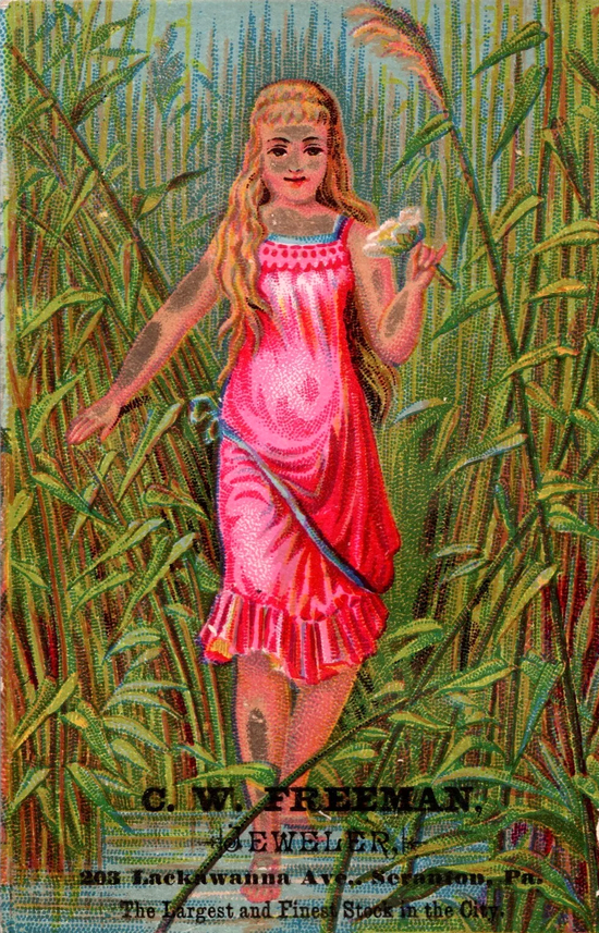 (1385 KB) (Click on Picture to View Full Size) picture